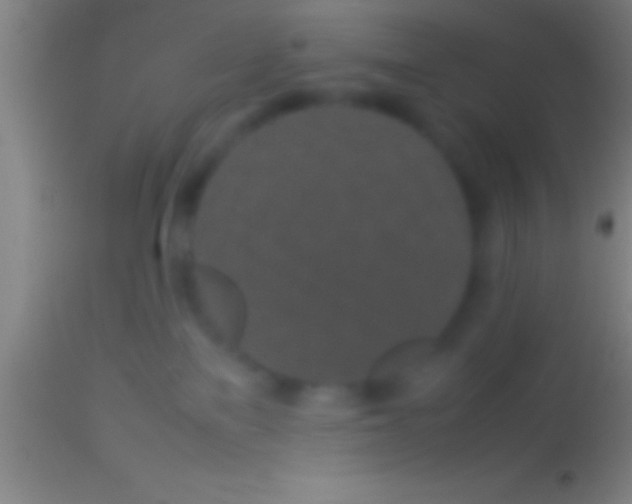 X0000113930137200910161900
