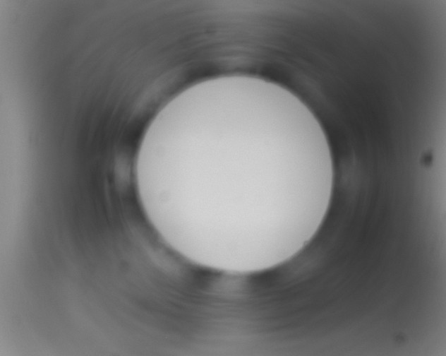 X0000113930138200910161900