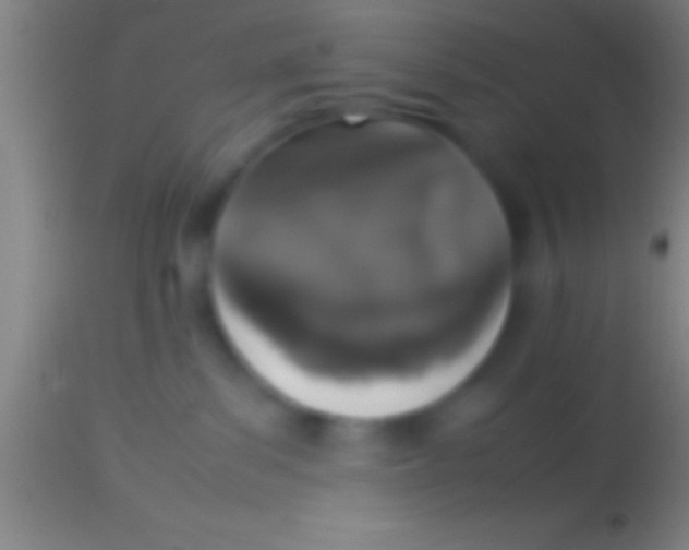 X0000113930139200910161900