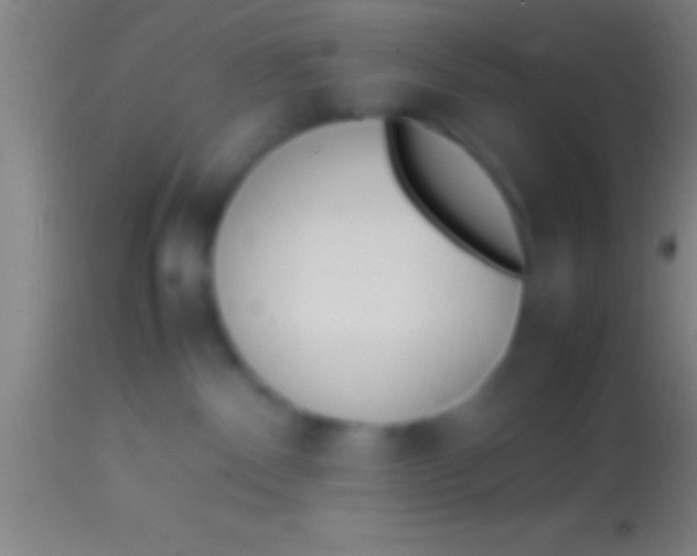 X0000113930140200910161900