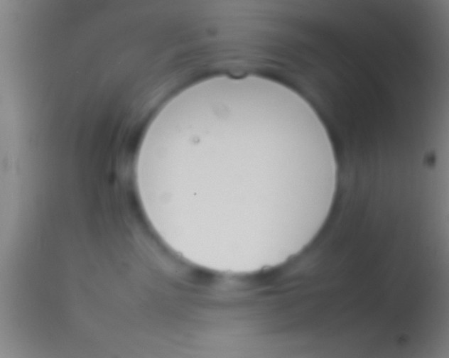 X0000113930141200910161900