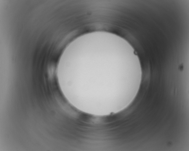 X0000113930142200910161900