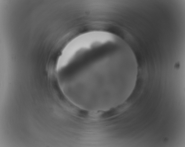 X0000113930143200910161900