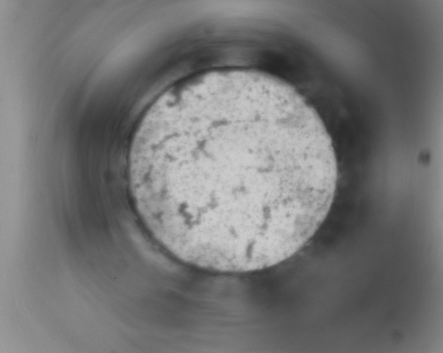 X0000113930146200910161859