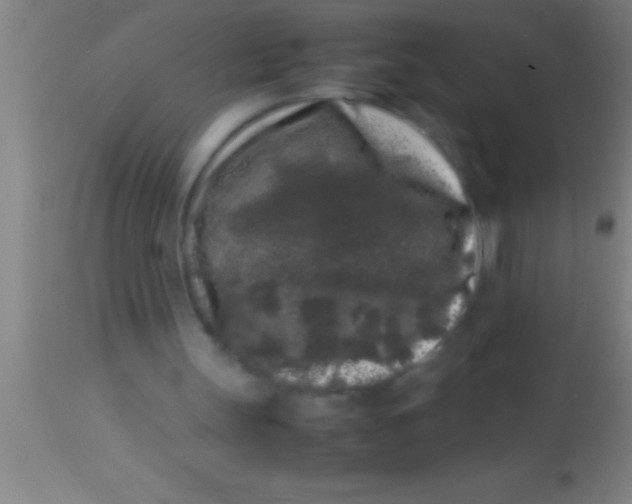 X0000113930147200910161859