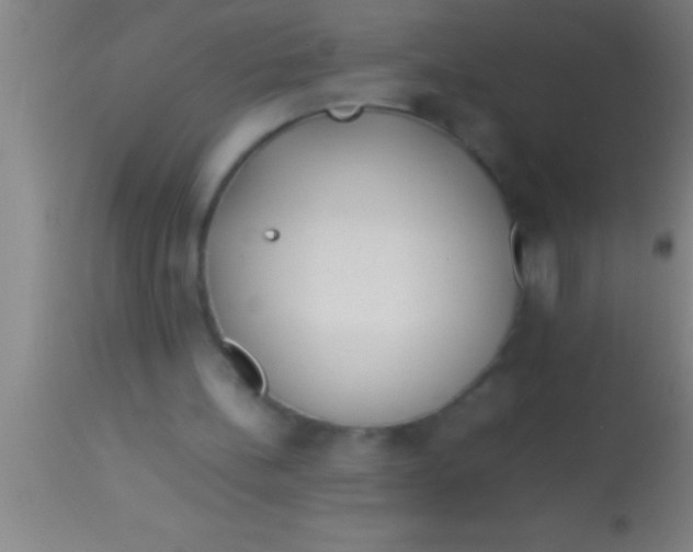 X0000113930148200910161859