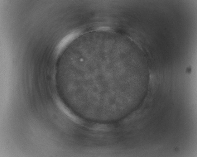 X0000113930149200910161859