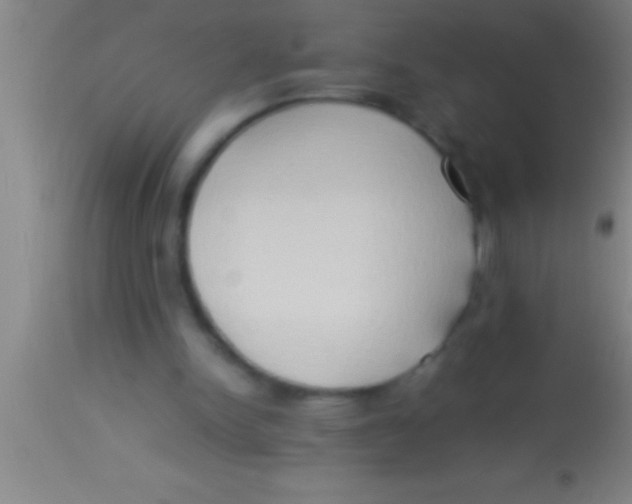 X0000113930150200910161859