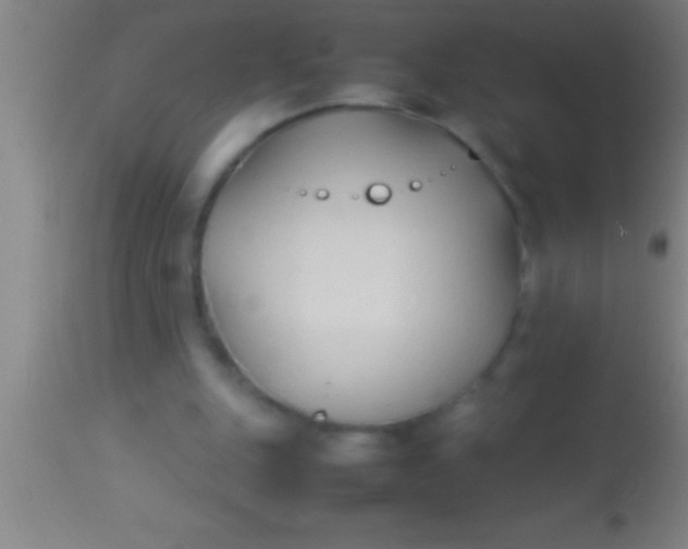 X0000113930151200910161859