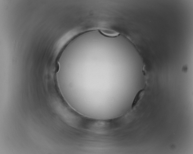 X0000113930152200910161859