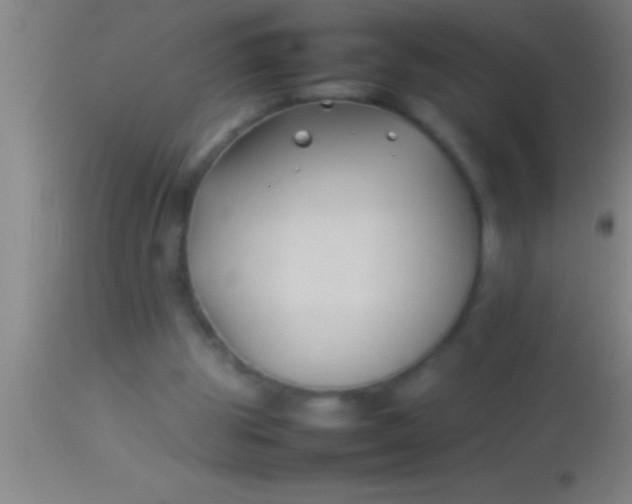 X0000113930153200910161859