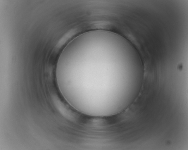 X0000113930154200910161859