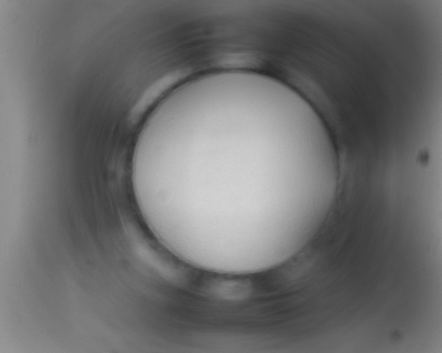 X0000113930155200910161859