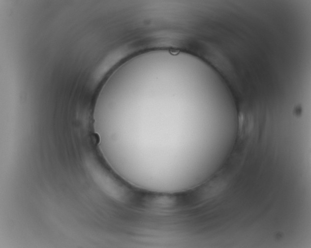 X0000113930156200910161859