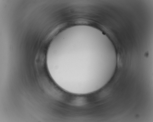 X0000113930157200910161900