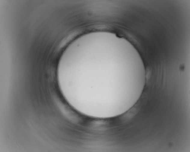 X0000113930158200910161900