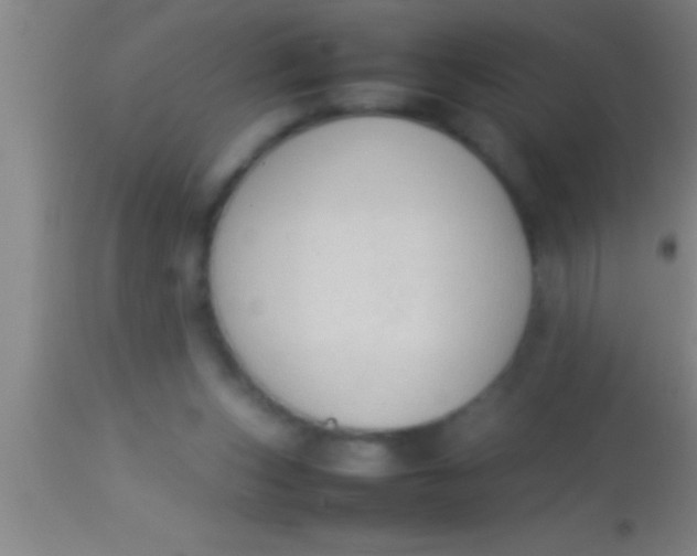 X0000113930159200910161900