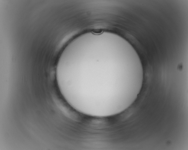 X0000113930160200910161900