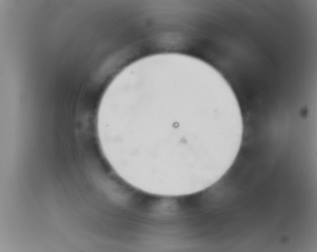 X0000113930162200910161900