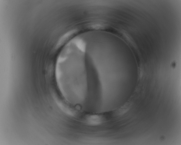 X0000113930163200910161900