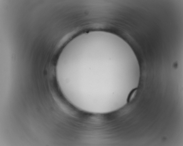 X0000113930164200910161900