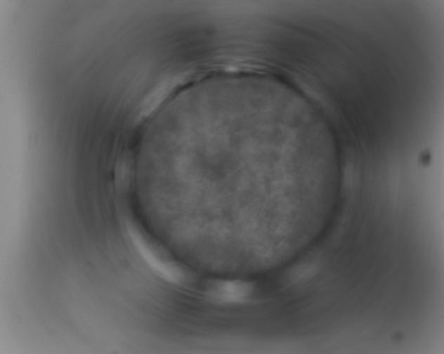 X0000113930165200910161900