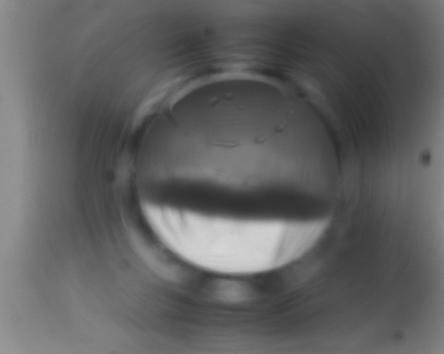 X0000113930167200910161900