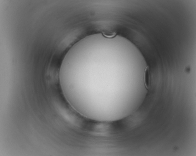 X0000113930168200910161900