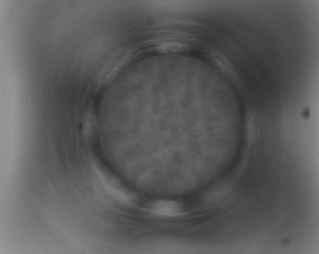 X0000113930169200910161900