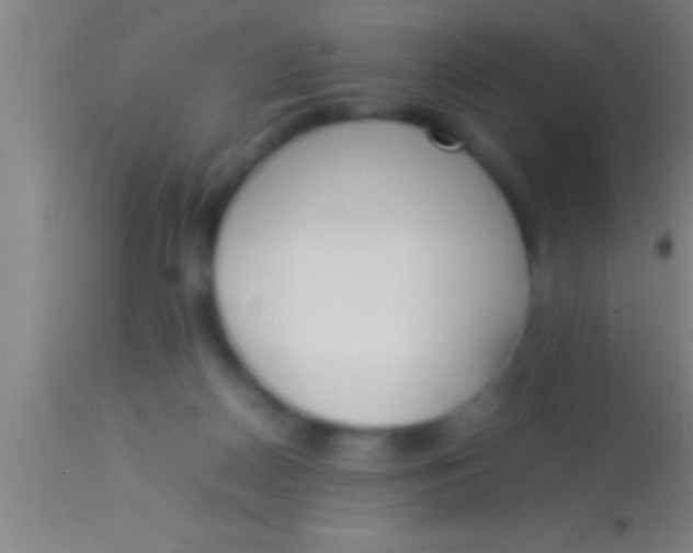 X0000113930170200910161900