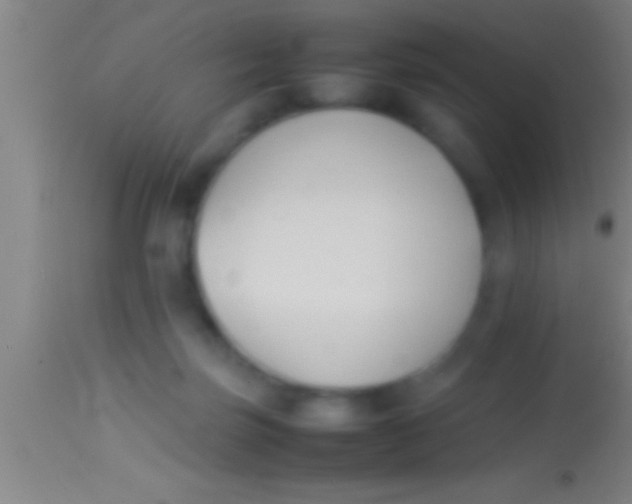 X0000113930171200910161900