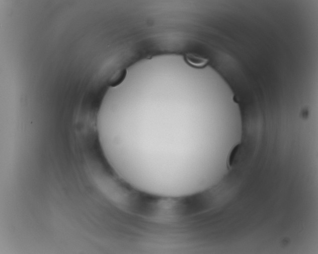 X0000113930172200910161900