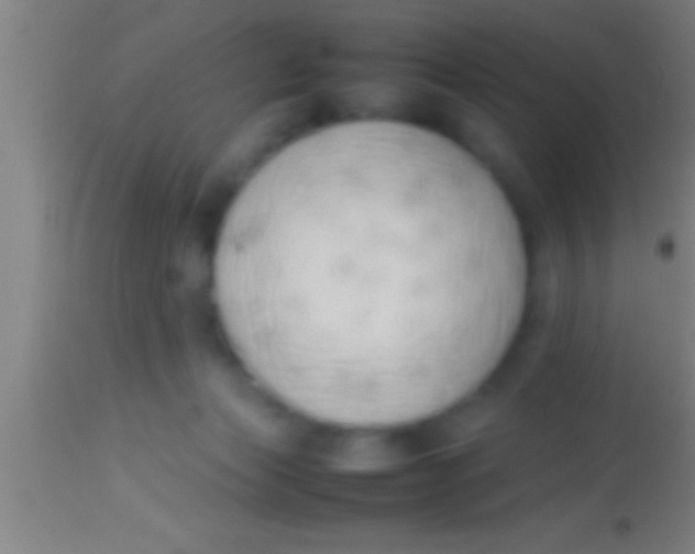 X0000113930173200910161900