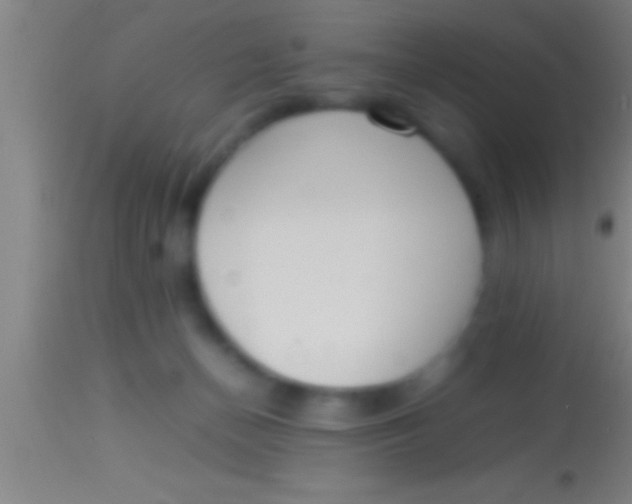 X0000113930174200910161900