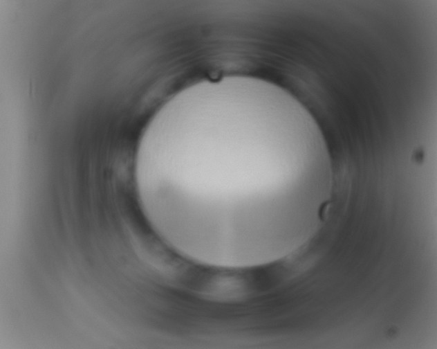 X0000113930175200910161900