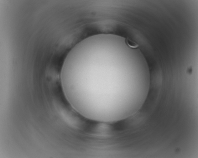 X0000113930176200910161900