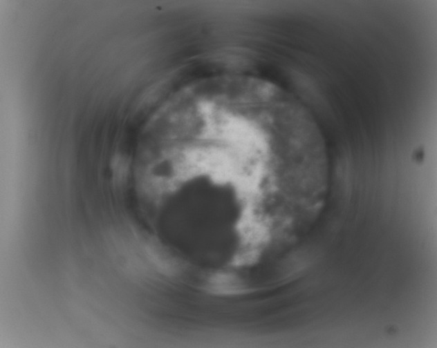 X0000113930177200910161900