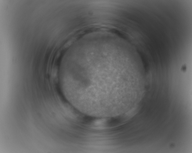 X0000113930178200910161900