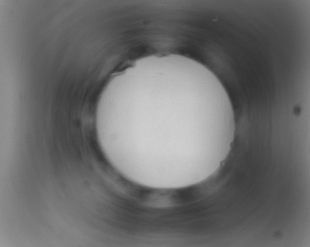 X0000113930179200910161900