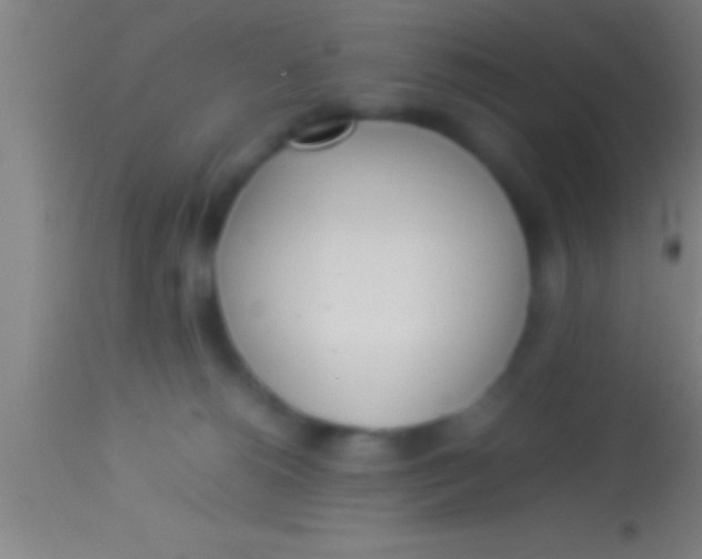 X0000113930180200910161900