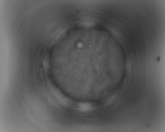 X0000113930181200910161900