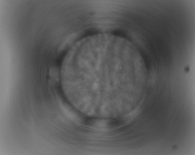X0000113930182200910161900