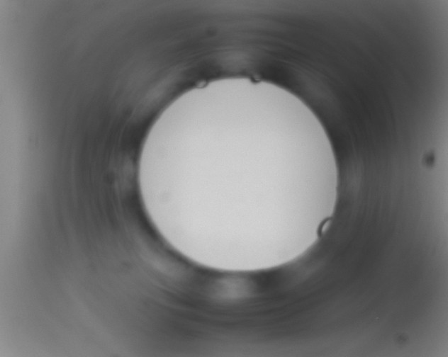 X0000113930183200910161900