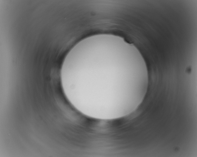 X0000113930184200910161900