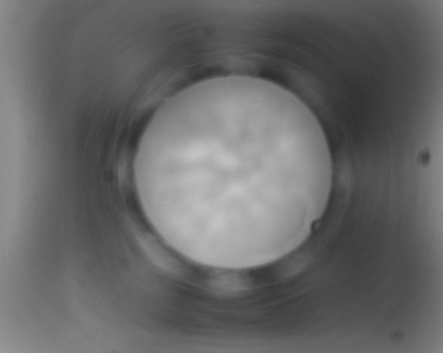 X0000113930185200910161900