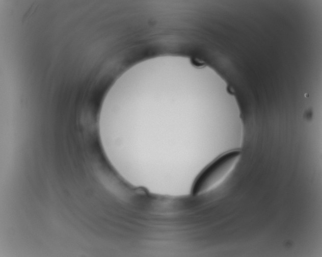 X0000113930186200910161900