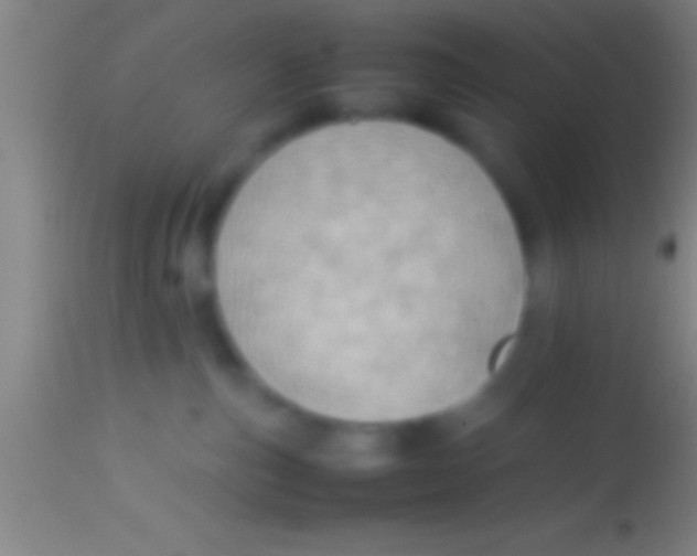 X0000113930187200910161900