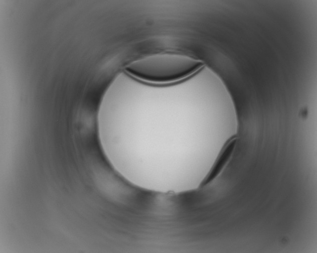 X0000113930188200910161900