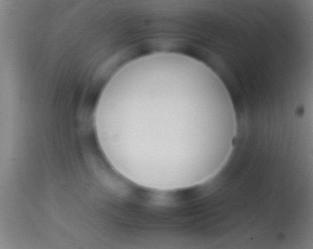X0000113930191200910161900
