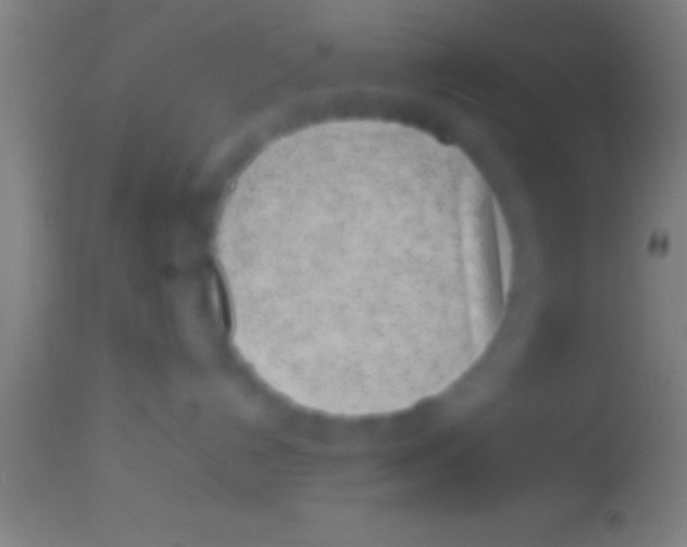 X0000113930192200910161900